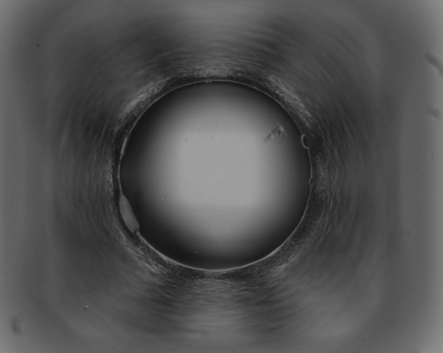 X0000093360681200710191057