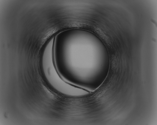 X0000093360683200710191057