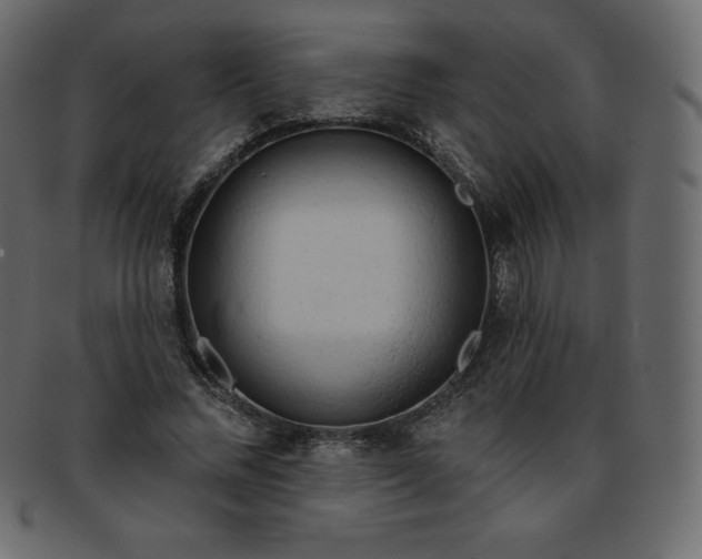 X0000093360684200710191057