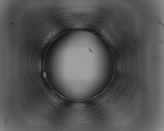 X0000093360685200710191057
