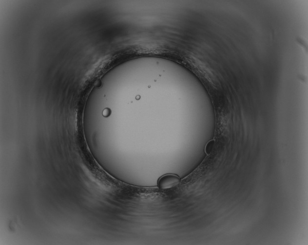 X0000093360686200710191057