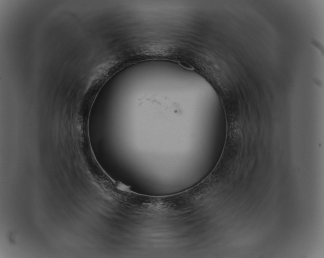 X0000093360688200710191057