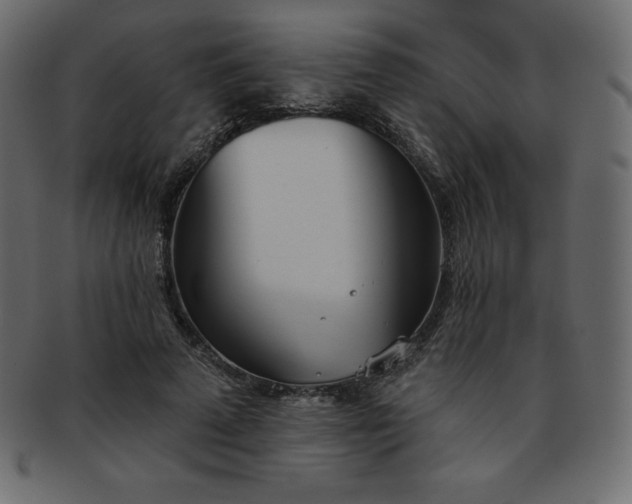 X0000093360689200710191057