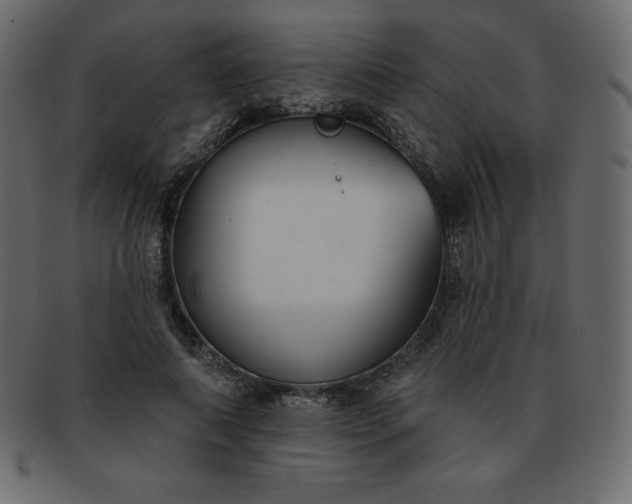 X0000093360690200710191057