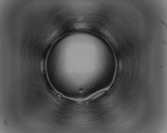 X0000093360691200710191057
