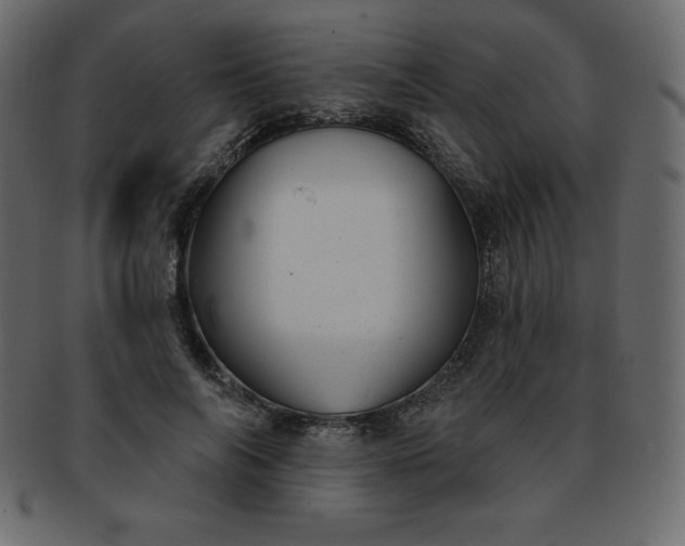 X0000093360694200710191057