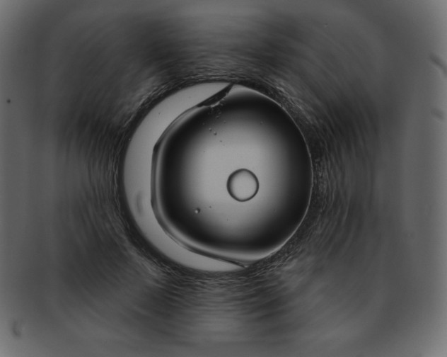 X0000093360695200710191057