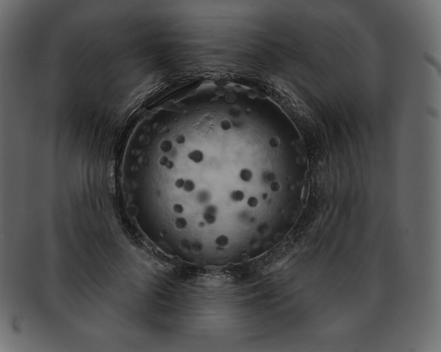 X0000093360696200710191057