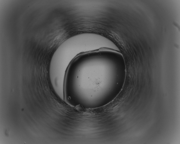 X0000093360697200710191057