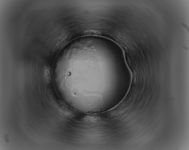 X0000093360699200710191057