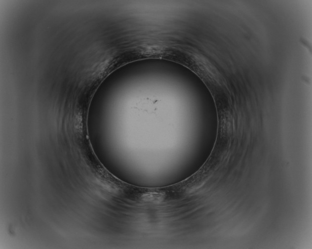 X0000093360700200710191057