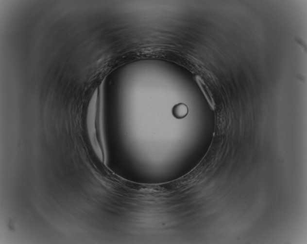 X0000093360703200710191057