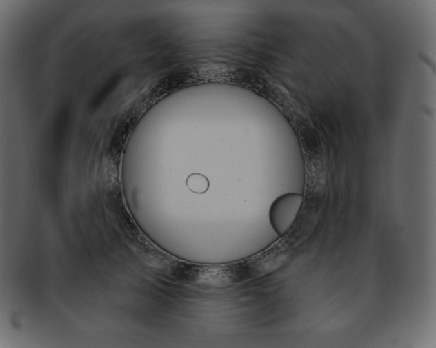 X0000093360705200710191057