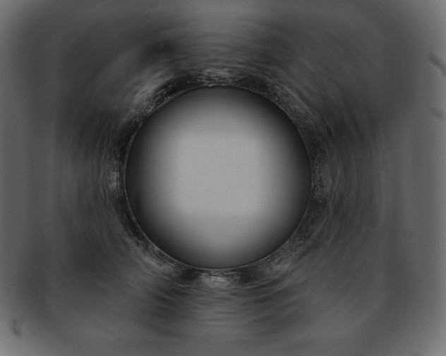 X0000093360706200710191057