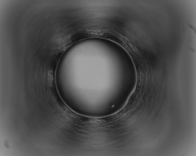 X0000093360707200710191057