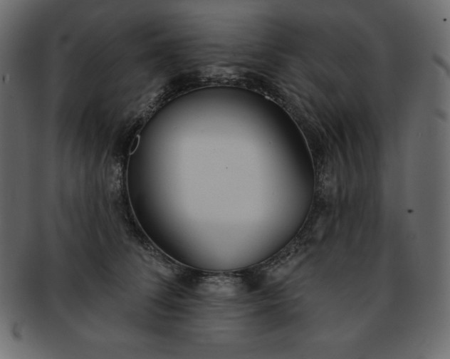 X0000093360708200710191057