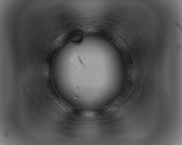 X0000093360710200710191057