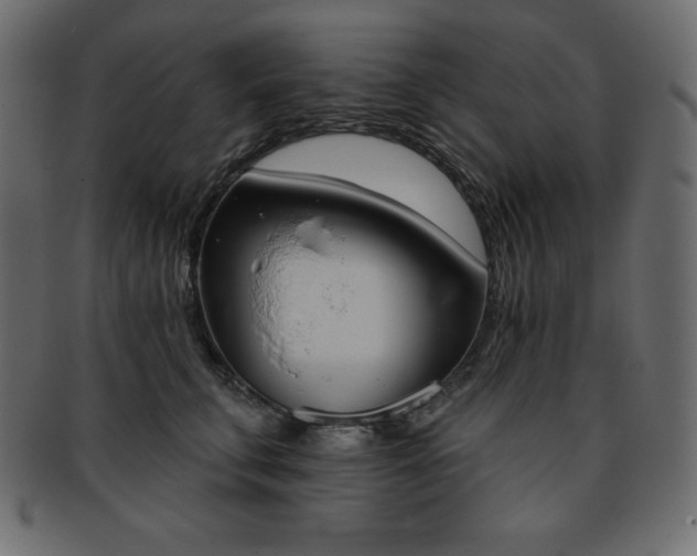 X0000093360711200710191057