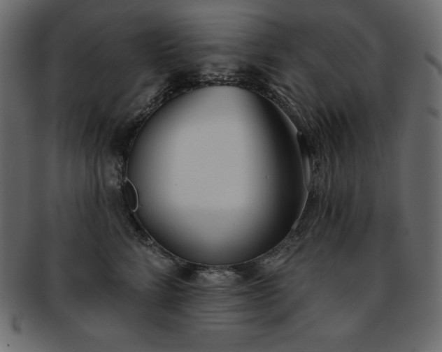X0000093360712200710191057