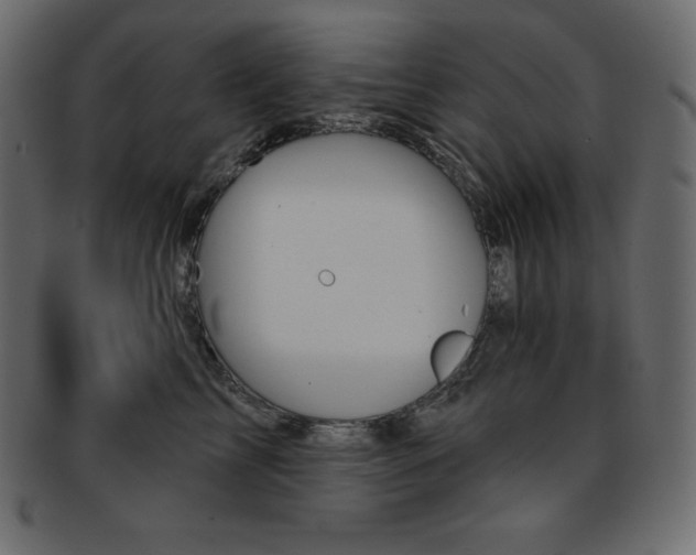 X0000093360713200710191057