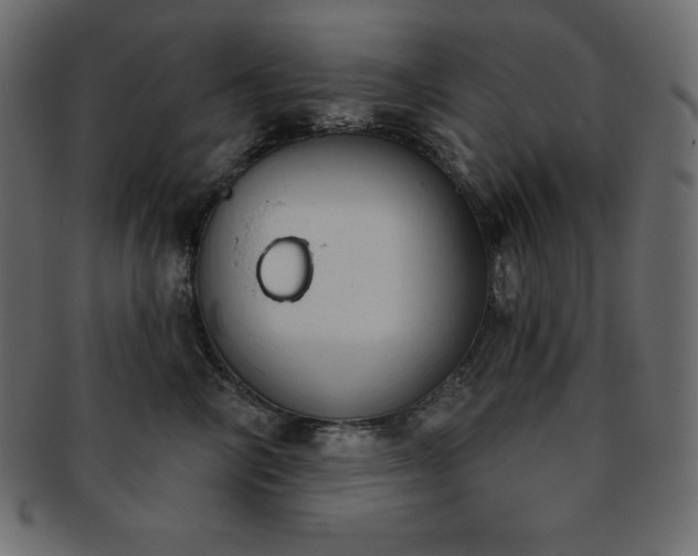 X0000093360714200710191057
