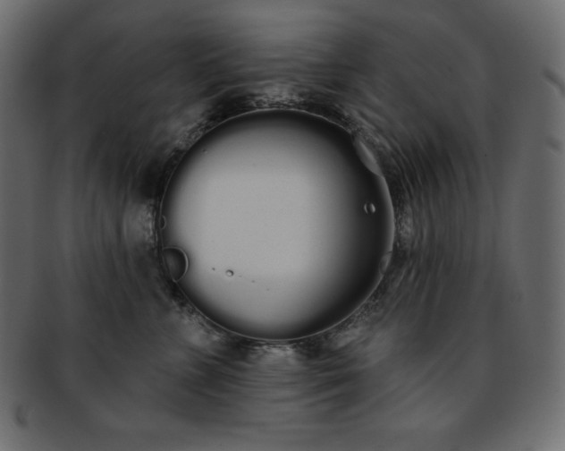 X0000093360715200710191057