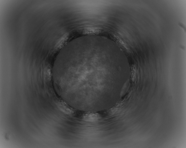 X0000093360716200710191057