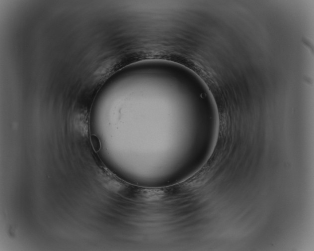 X0000093360719200710191057