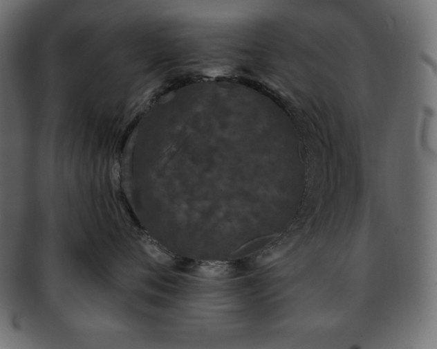 X0000093360720200710191057