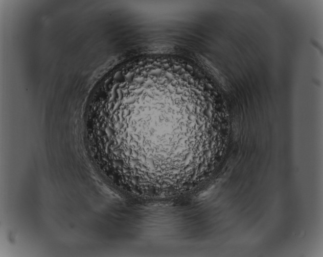 X0000093360721200710191056