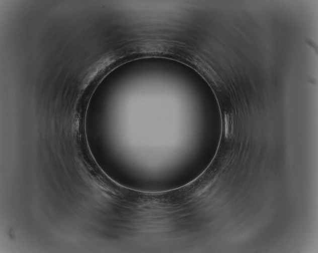 X0000093360723200710191056