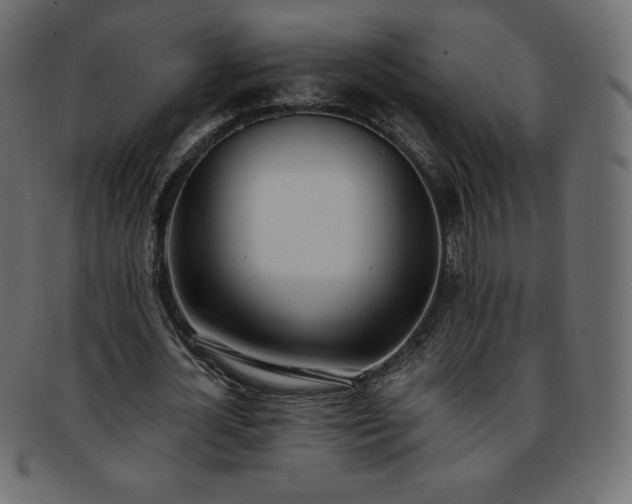 X0000093360724200710191056