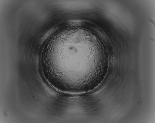 X0000093360725200710191056