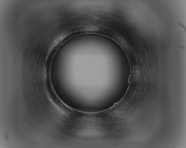 X0000093360726200710191056
