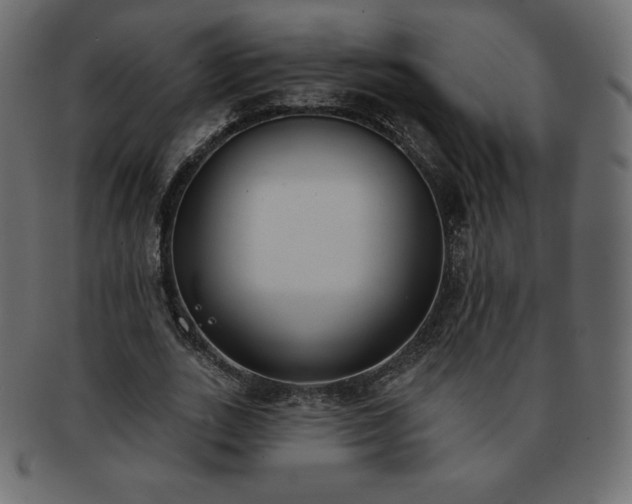 X0000093360727200710191056