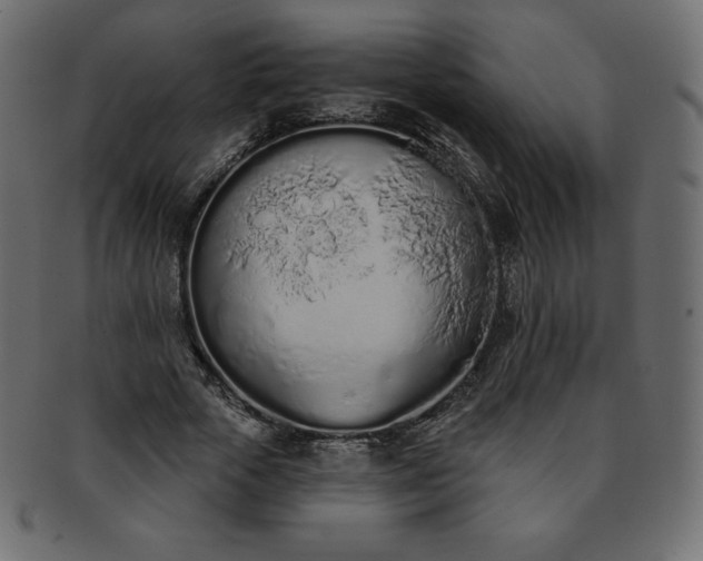 X0000093360729200710191056