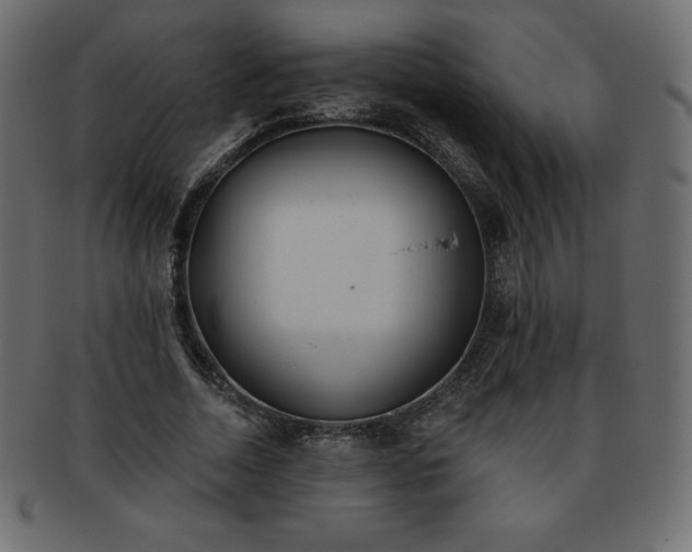 X0000093360730200710191056