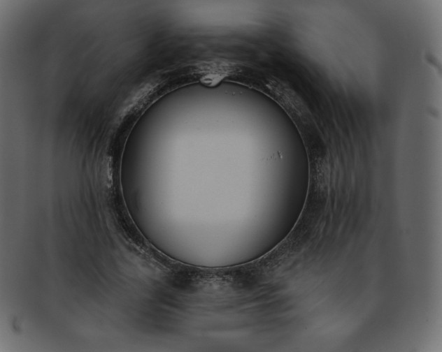 X0000093360731200710191056