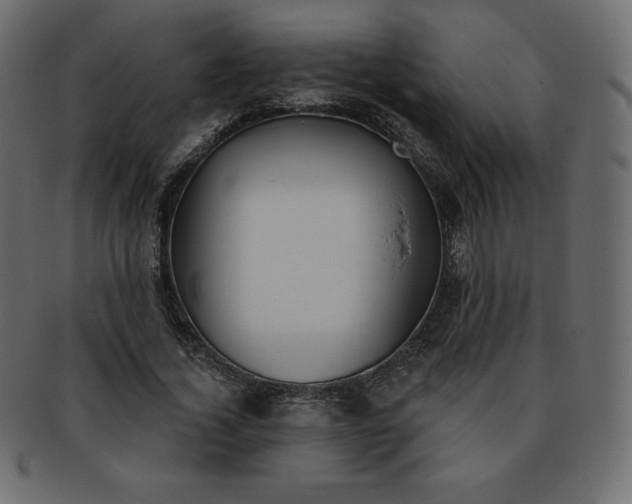 X0000093360732200710191056
