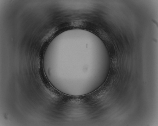 X0000093360734200710191056