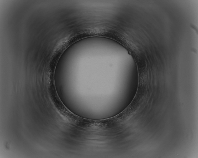 X0000093360736200710191056