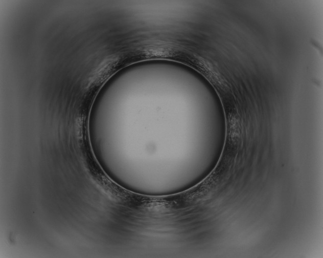 X0000093360738200710191056