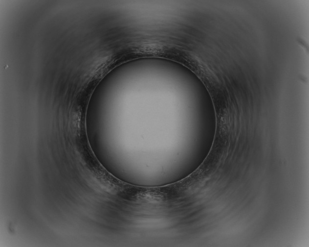 X0000093360739200710191056