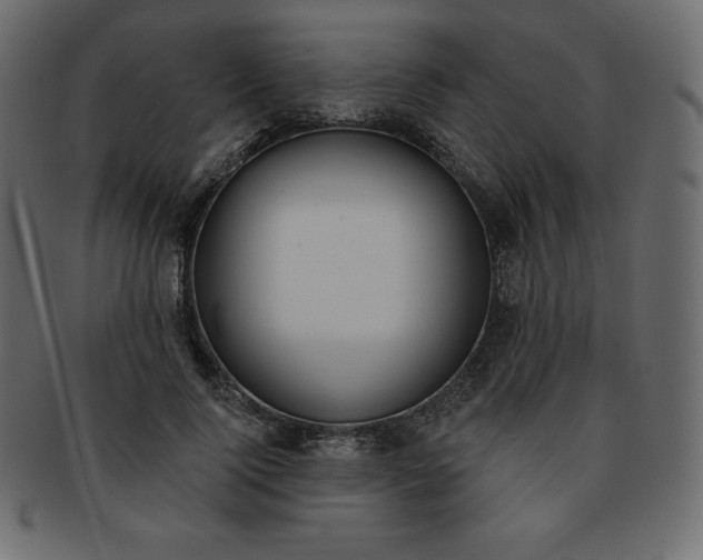 X0000093360740200710191056