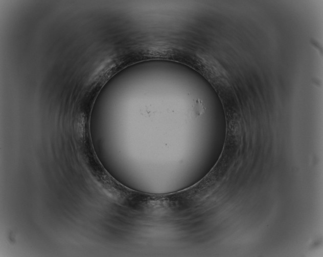X0000093360744200710191057