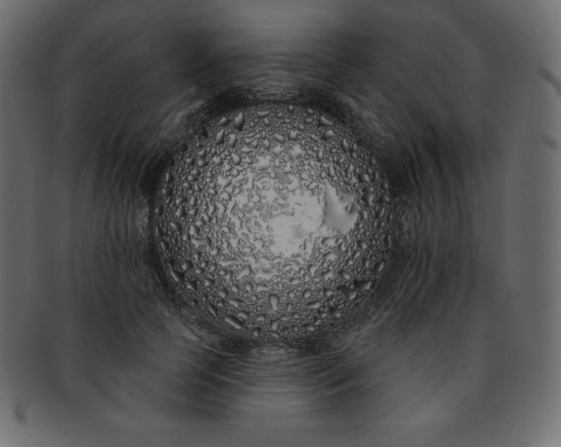 X0000093360745200710191057