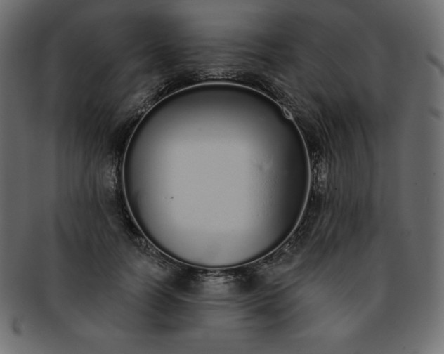 X0000093360746200710191057