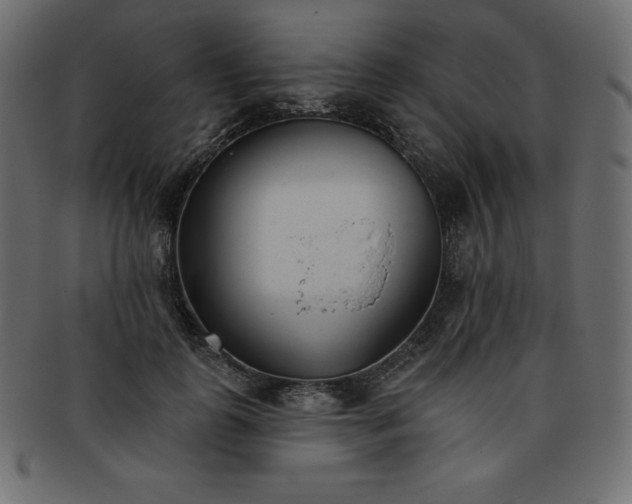 X0000093360747200710191057