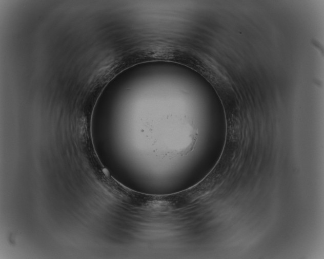 X0000093360748200710191057