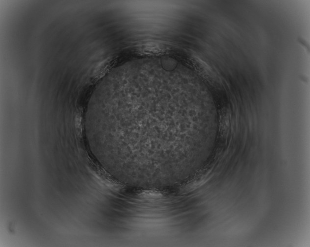 X0000093360749200710191057